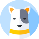 animals,mammal,pet,animal kingdom,dog,bull terrier ok 